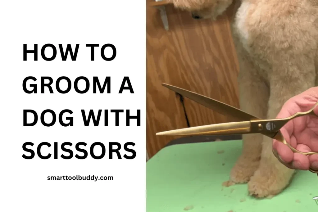 HOW TO GROOM A DOG WITH SCISSORS