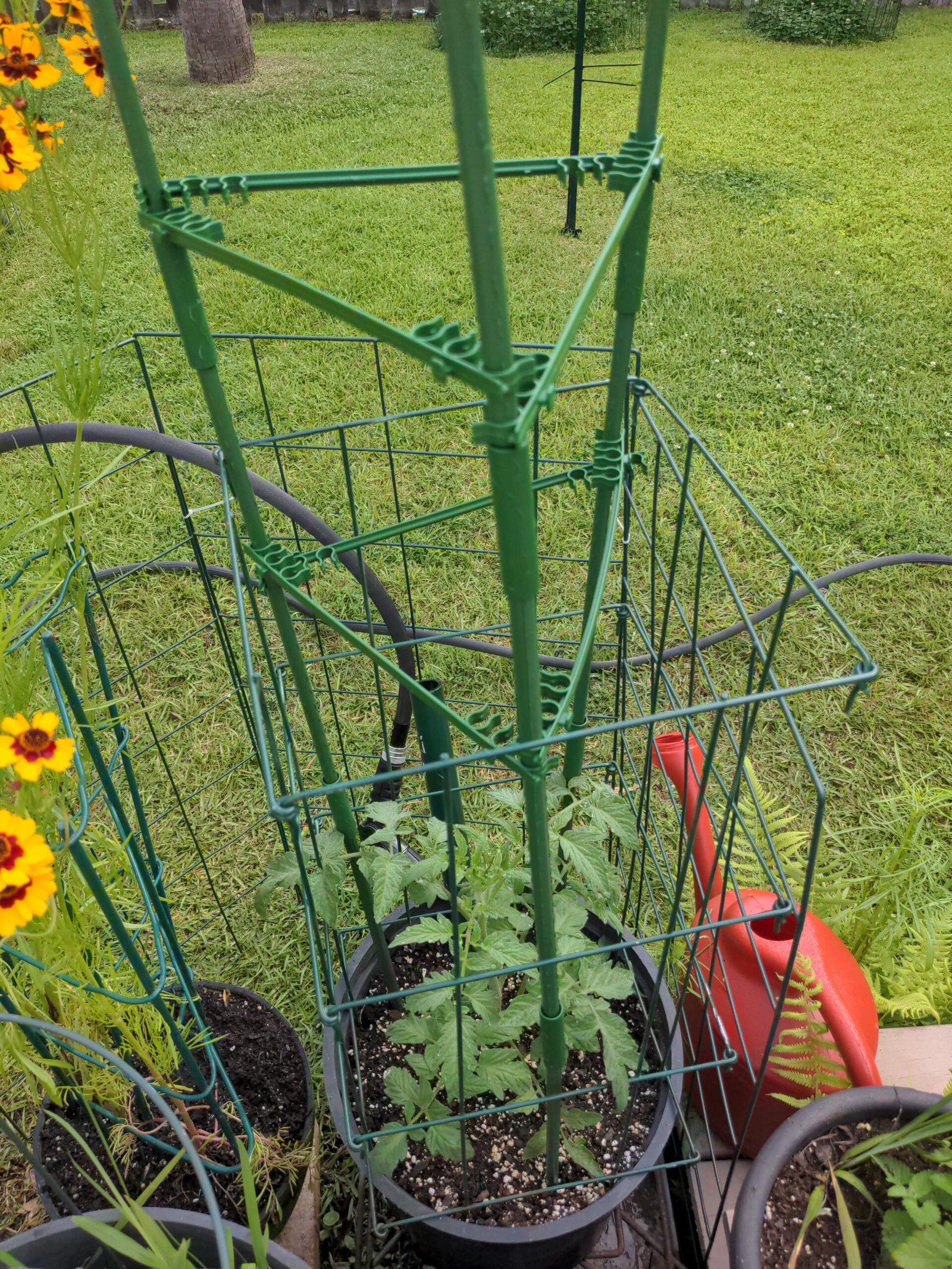 Putting garden stakes in the ground