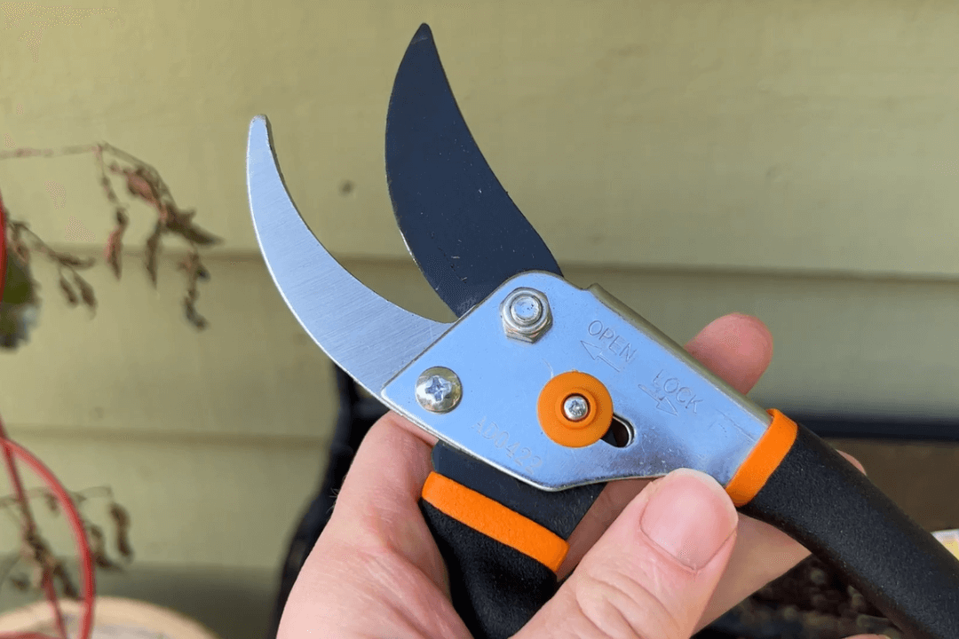 Best Gardening Pruner Shears