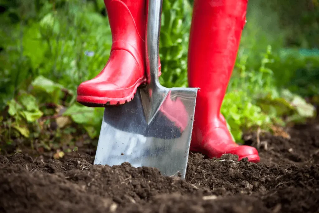 Best Shovel for Planting Trees and Digging Holes