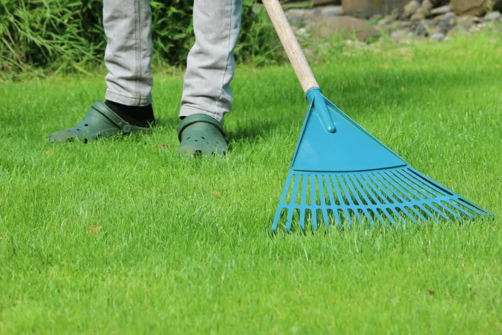  How to Rake Artificial Grass