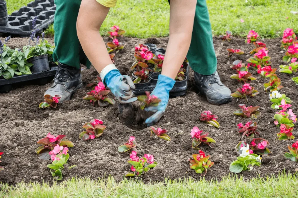 Dangers of Gardening without gloves