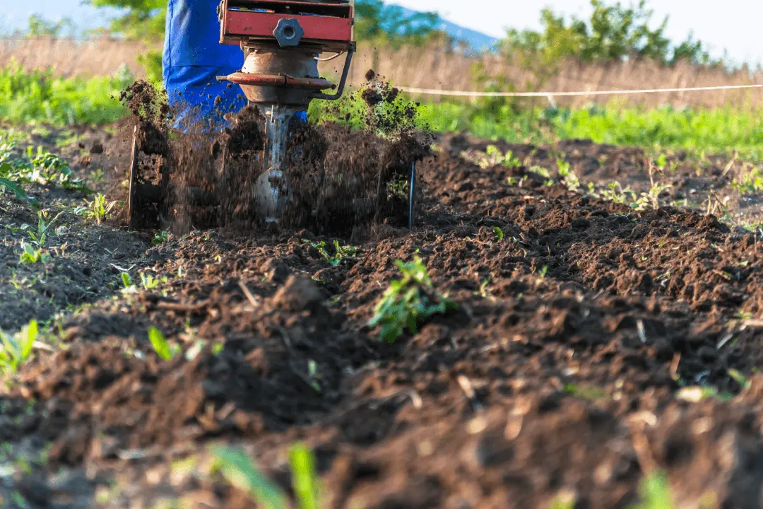 Difference Between Cultivator and Tiller