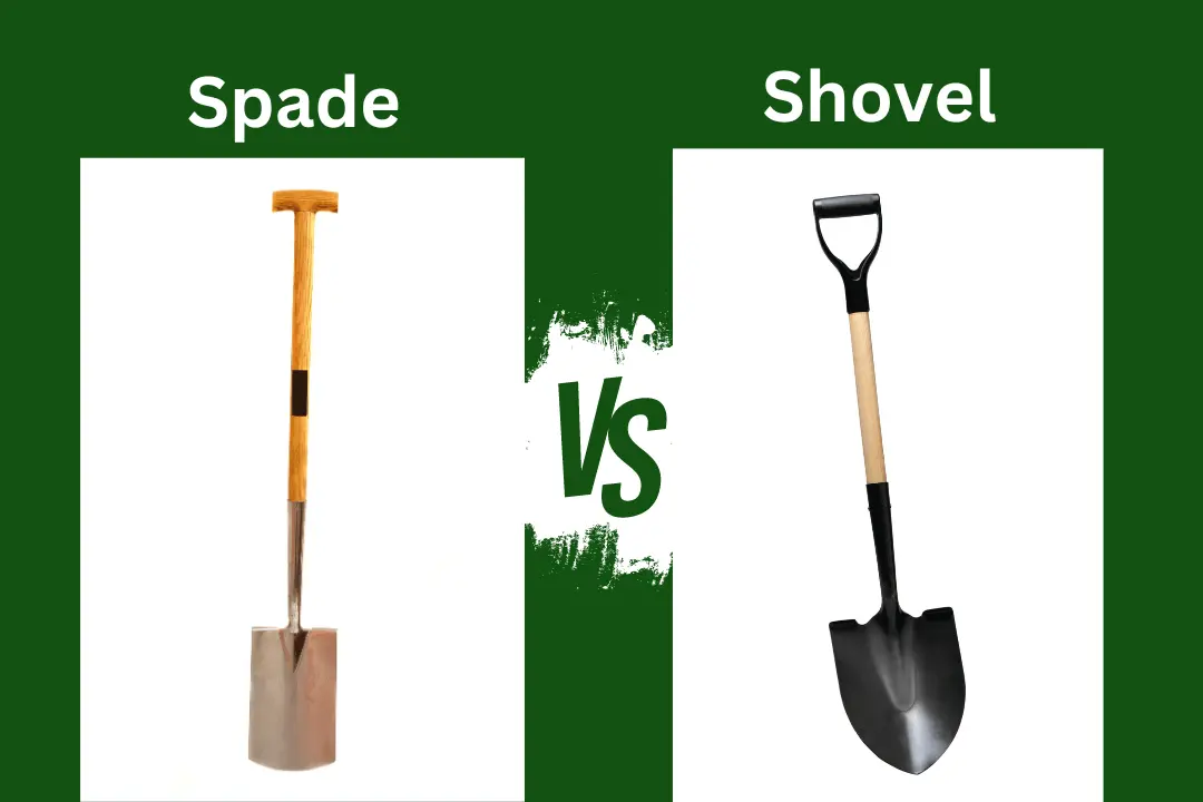 Difference Between a Spade and a Shovel