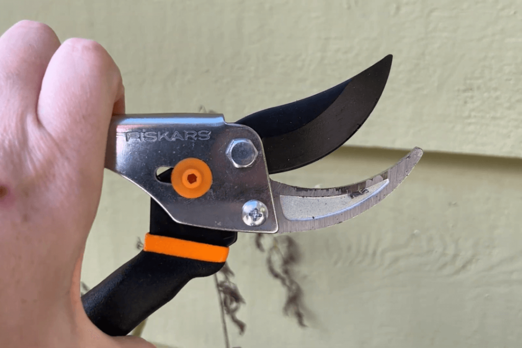 Fiskars Bypass Pruning Shears is the Best Gardening Pruner Shears Tool