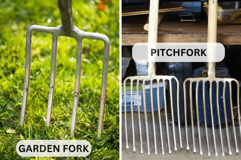 Garden Fork Vs Pitchfork