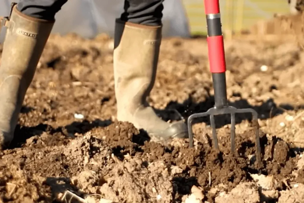 How To Effectively Use Garden Forks