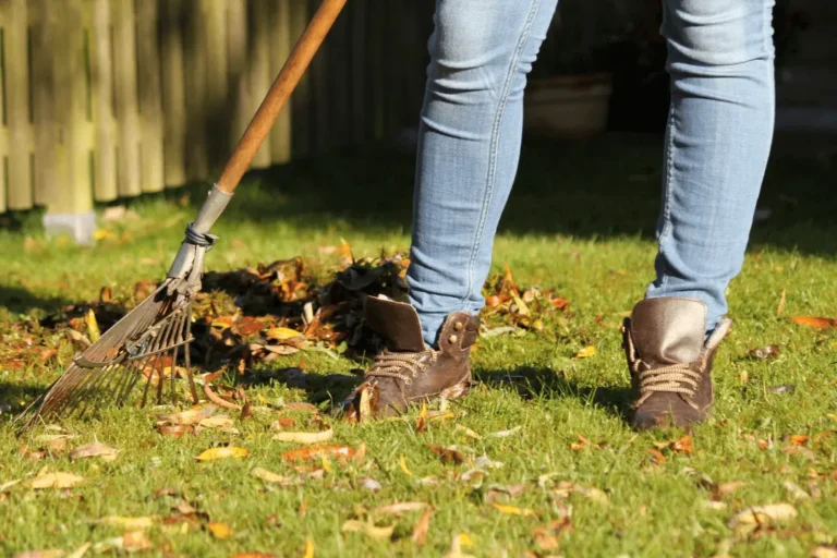 How To Use Rake in Gardening