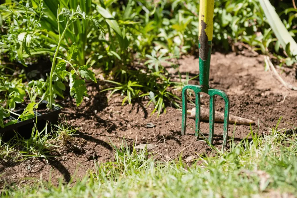 Maintenance Tips for types of Garden Forks