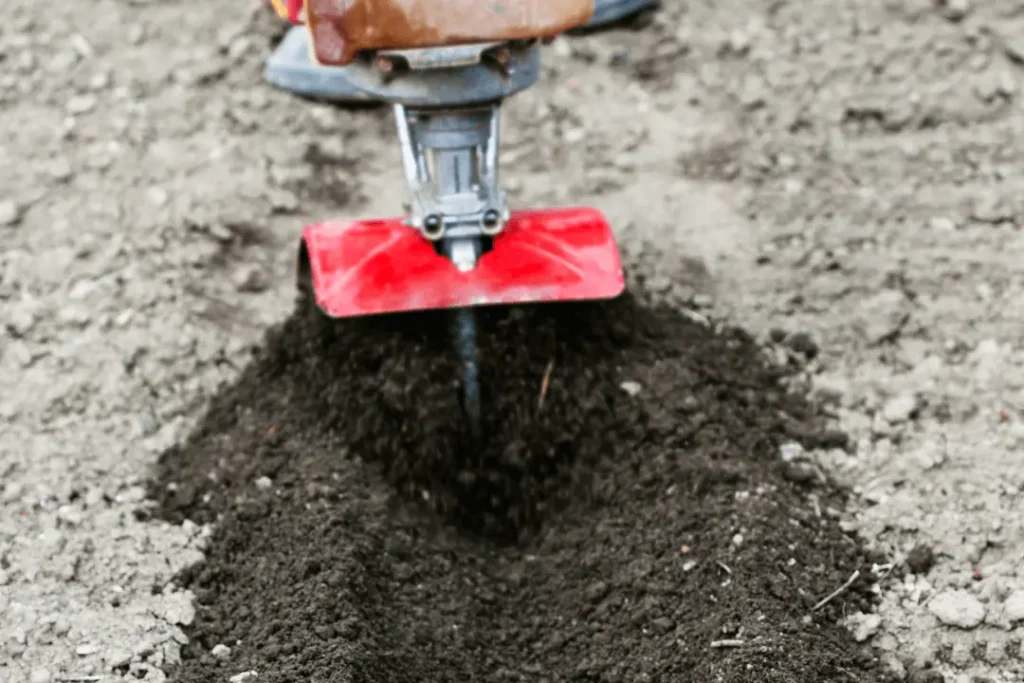 The Humble Cultivator A Gentle Touch for Existing Soil