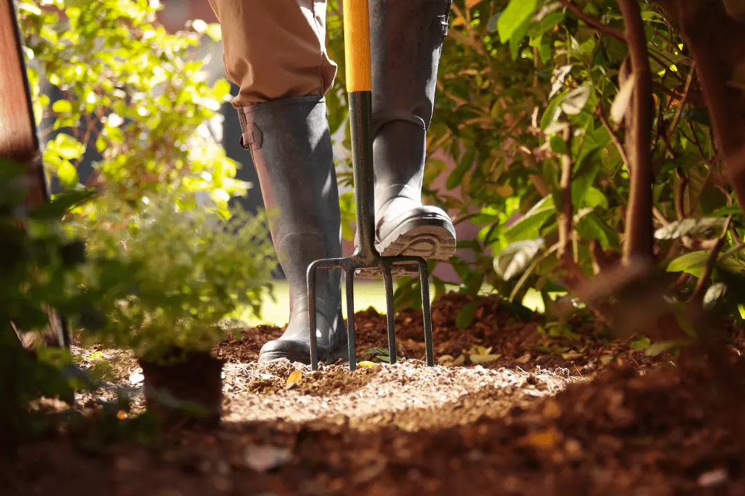 Types Of Garden Forks