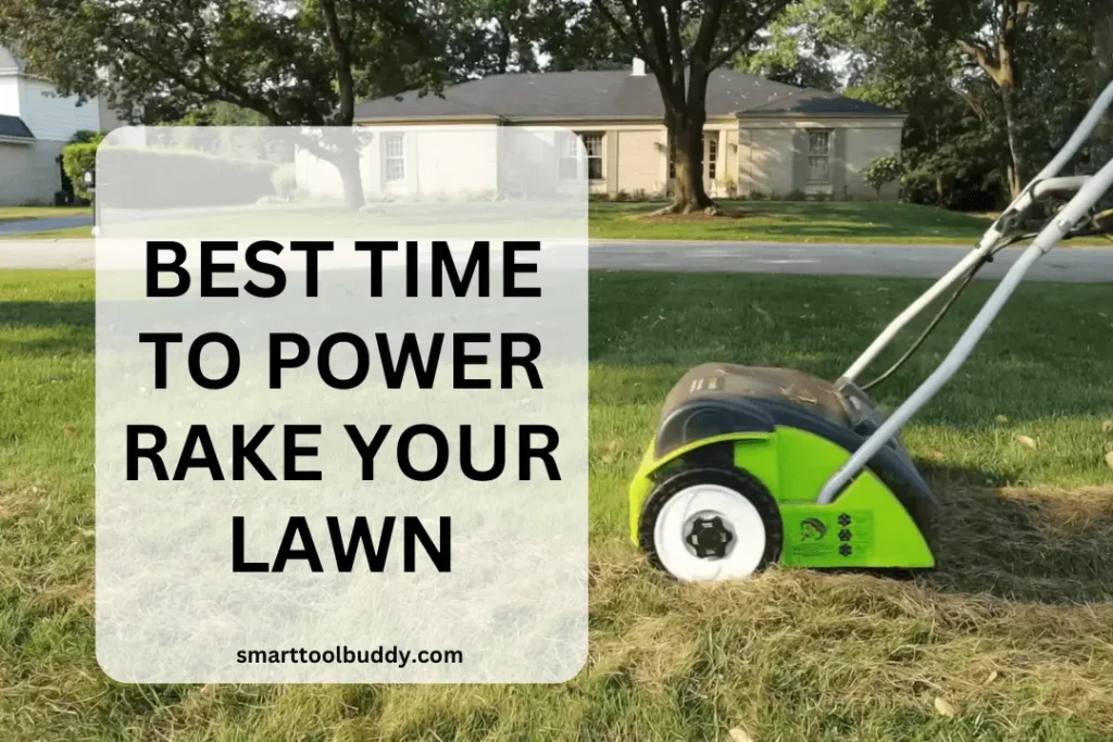 best time to power rake your lawn