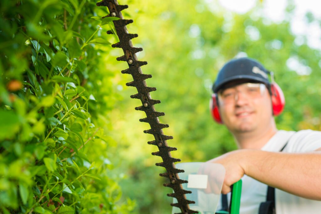 can hedge trimmers cut branches