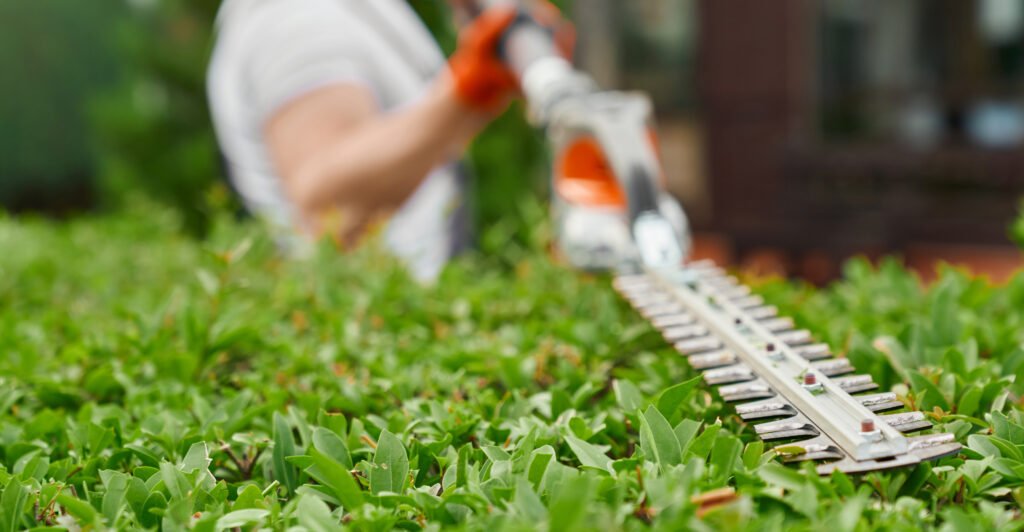 Can Hedge trimmers cut branches
