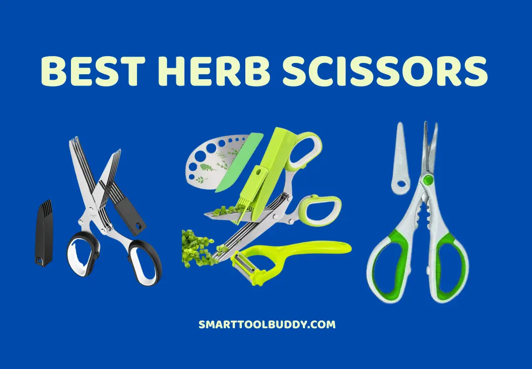 Comprehensive Guide To Best Herb Scissors