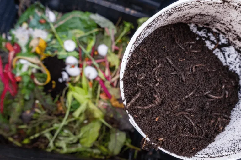 How To Make A Kitchen Compost Bin