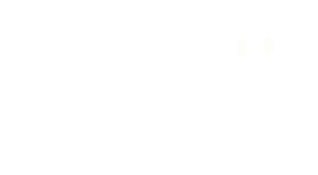 SMARTTOOLBUDDY FOOTER LOGO