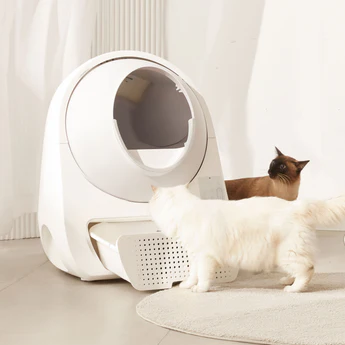 best litter box for multiple cats