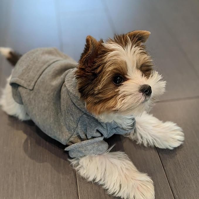 Hoodie for Medium Dogs